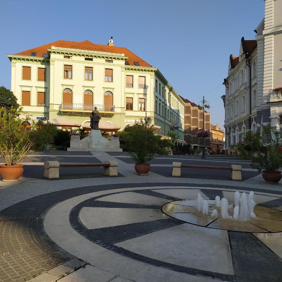 Ferienwohnung Krenusz Vendeghaz. Kaposvár Exterior foto
