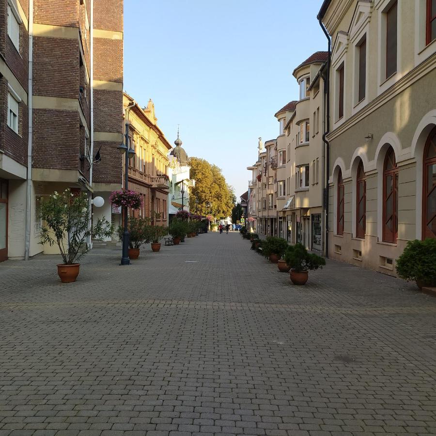 Ferienwohnung Krenusz Vendeghaz. Kaposvár Exterior foto