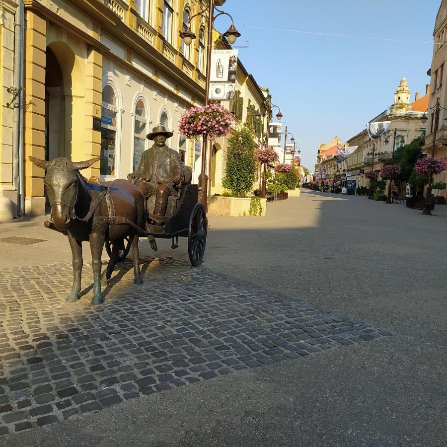 Ferienwohnung Krenusz Vendeghaz. Kaposvár Exterior foto